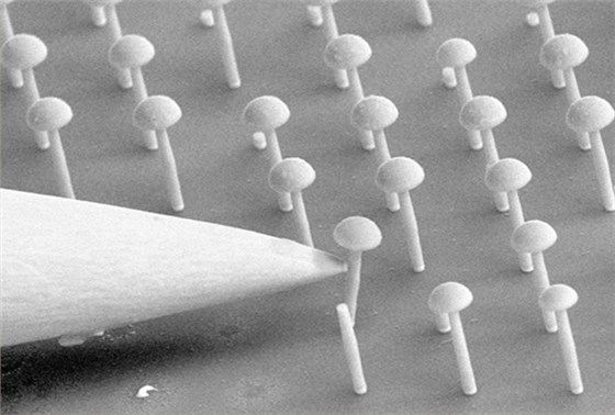 技術(shù)優(yōu)勢