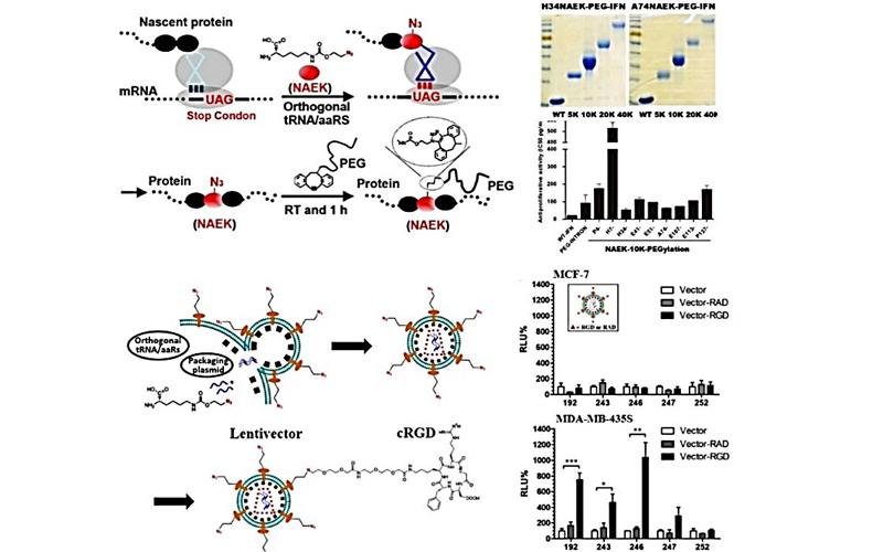 核磁共振檢測生物分子