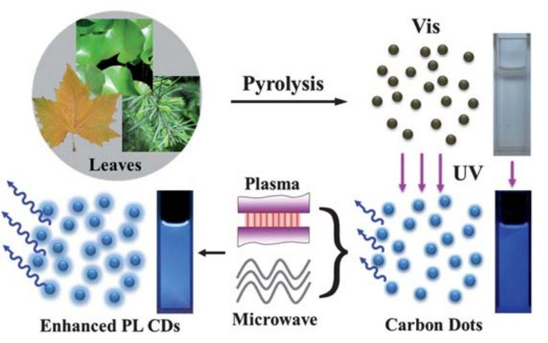 等離子清洗機處理生物材料
