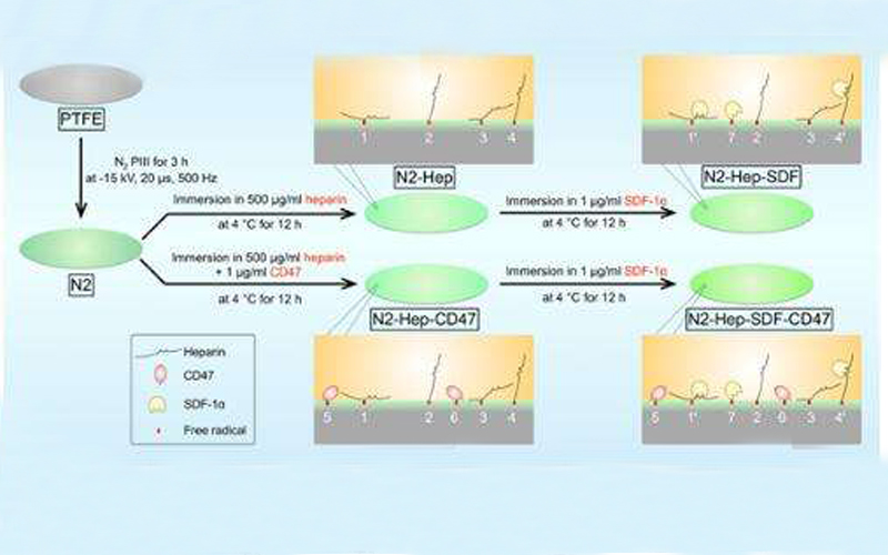 等離子體表面處理機(jī)處理高分子材料