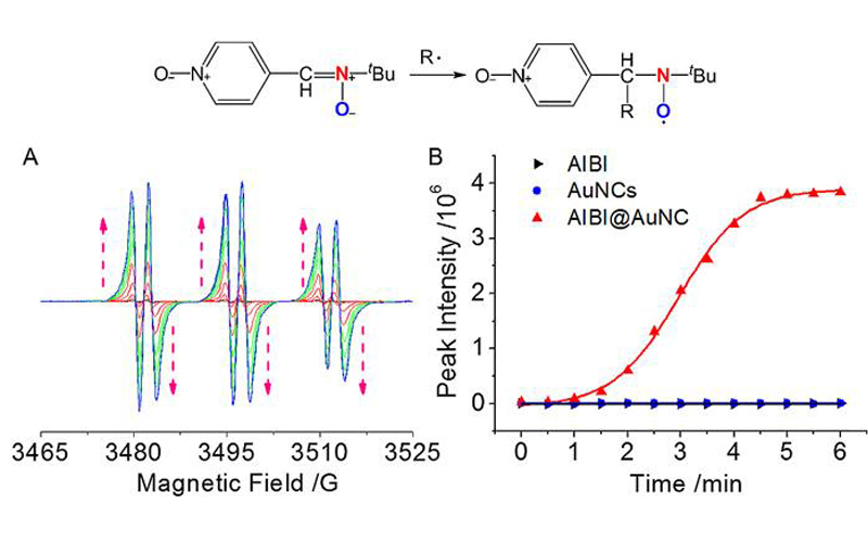 電子順磁共振波譜儀對自由基的檢測