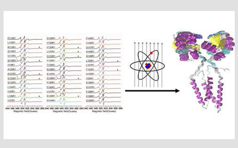電子順磁離子配合物的EPR譜研究