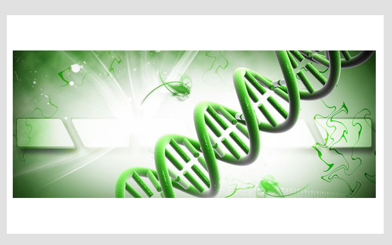 生物技術中的應用