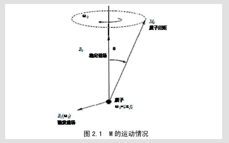 電子自旋共振波譜儀的順磁性