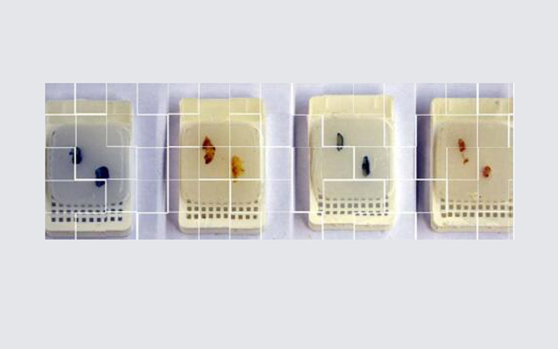 切片機切片樣品