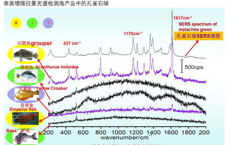 共焦拉曼光譜儀