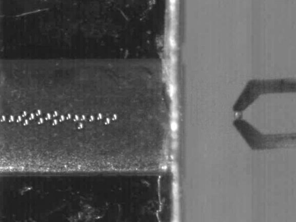 顯微操作和拾取系統 顯微操作和拾取系統