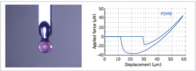 軟物質(zhì)材料納米壓痕
