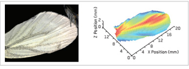 軟懸軟物質(zhì)品的形貌掃描