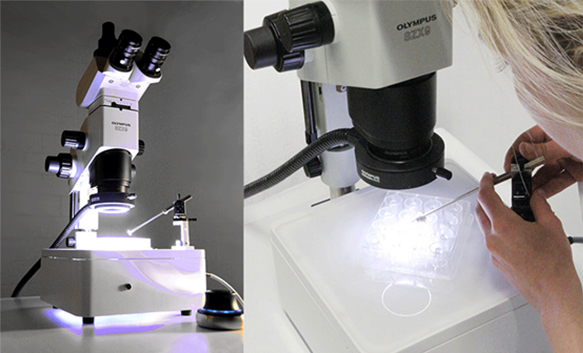 多自由度梯度磁場控制系統