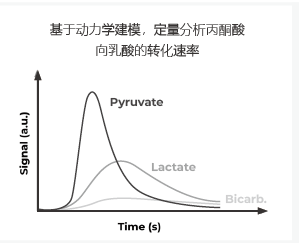 超極化磁共振成像示蹤劑