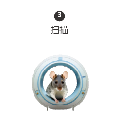 超極化磁共振成像示蹤劑