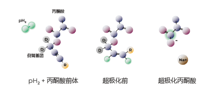 超極化磁共振成像示蹤劑