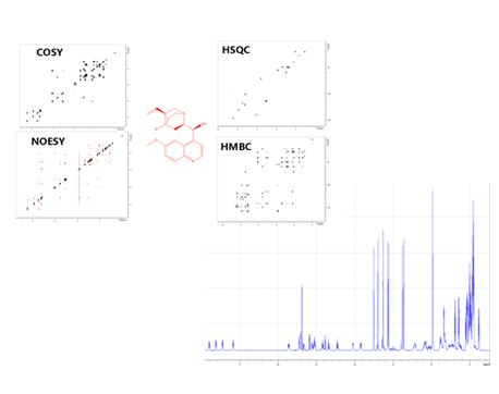 完整的一維、二維實驗功能